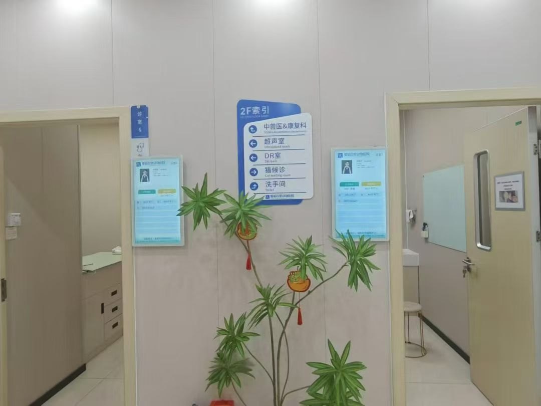 医院信息发布现场案例图2
